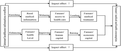 How internet healthcare information overflow affects farmers’ healthcare consumption: insights from China